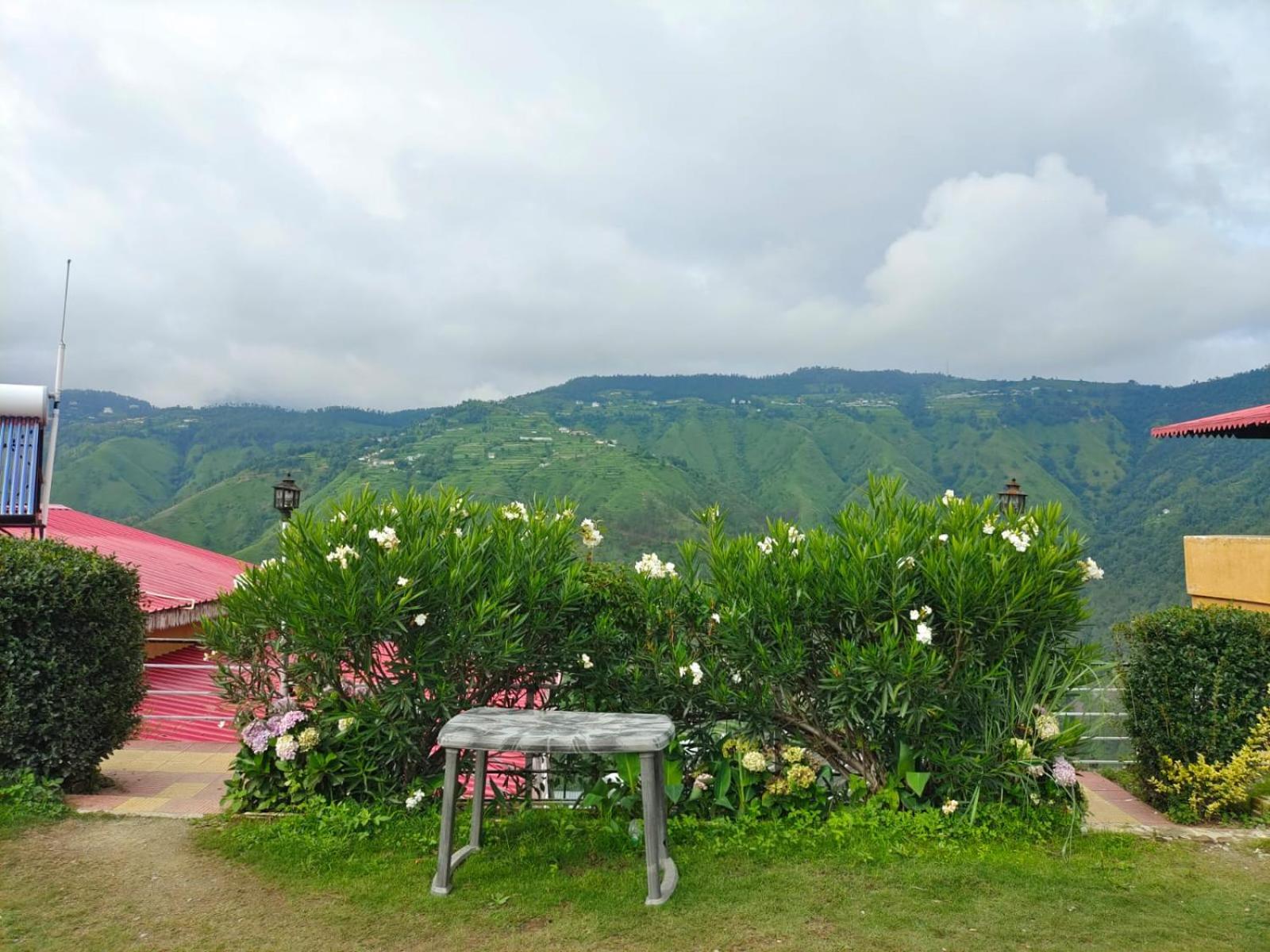 Little Heart Resort Chail Exterior foto